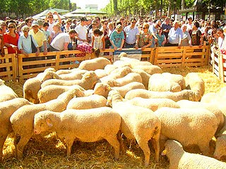 2010_0908_paris_07.jpg