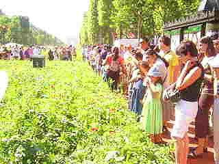 2010_0908_paris_08.jpg